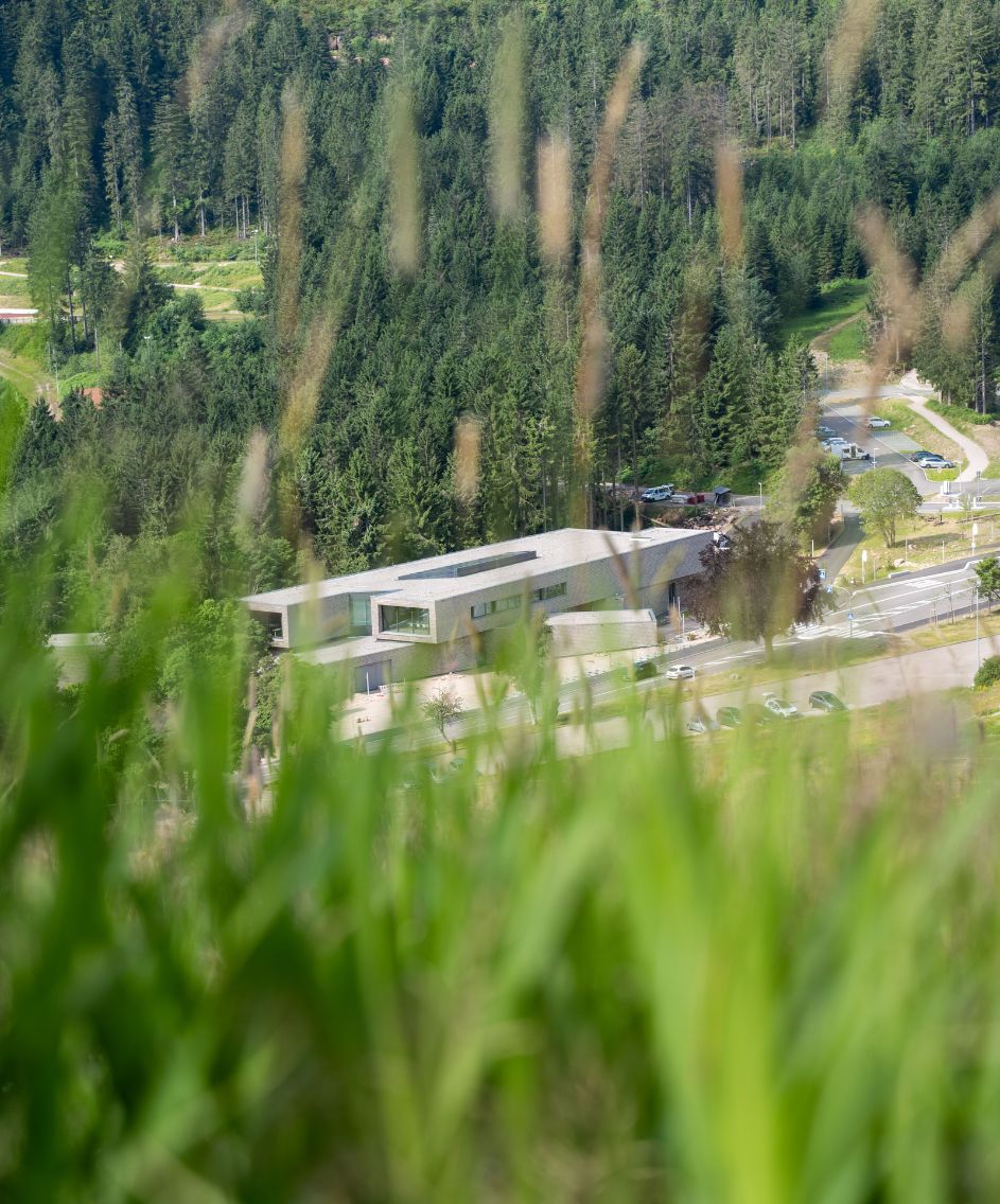 Nationalparkzentrum im Schwarzwald im Sommer