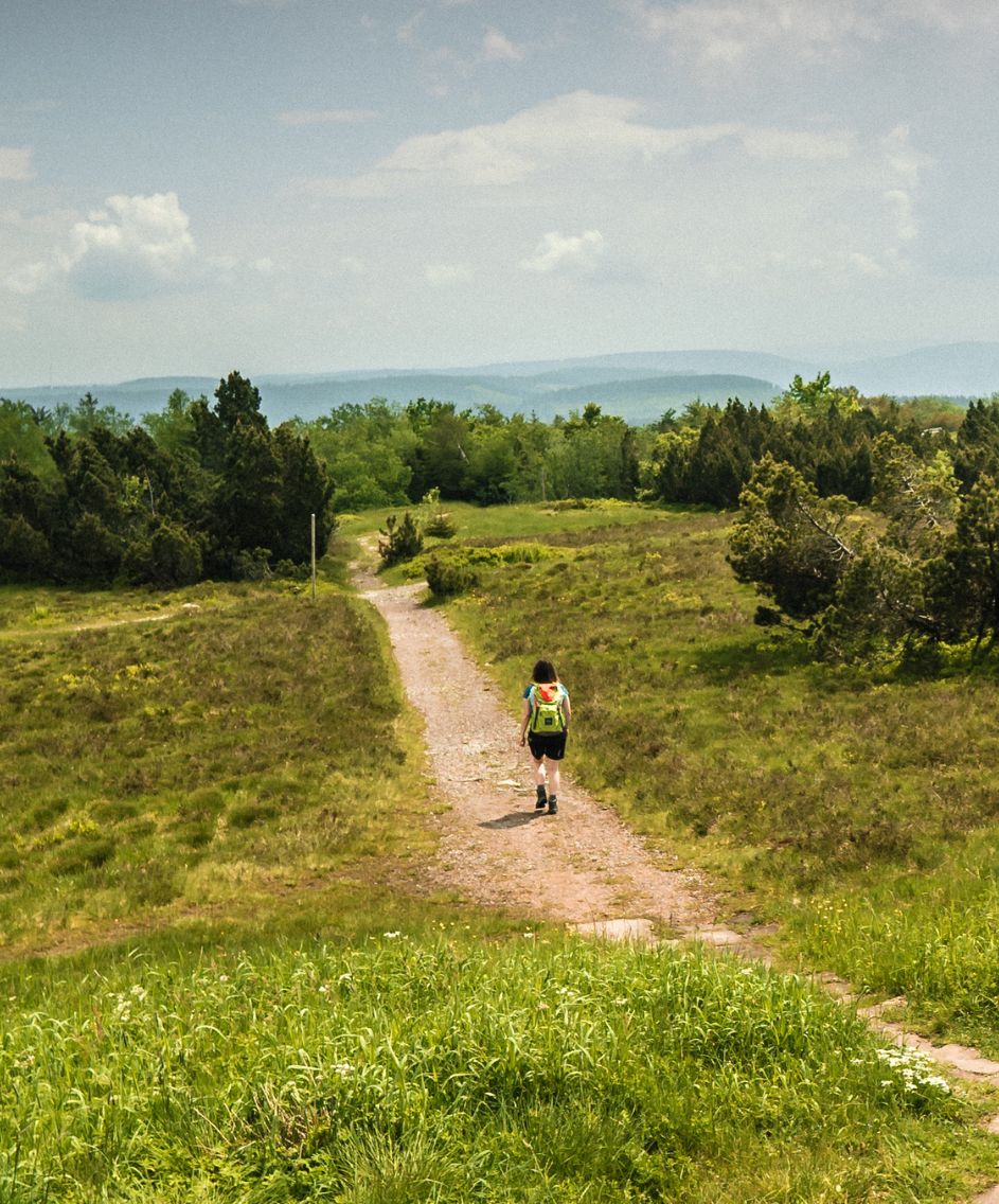 Wandern im Nationalpark am Schliffkopf