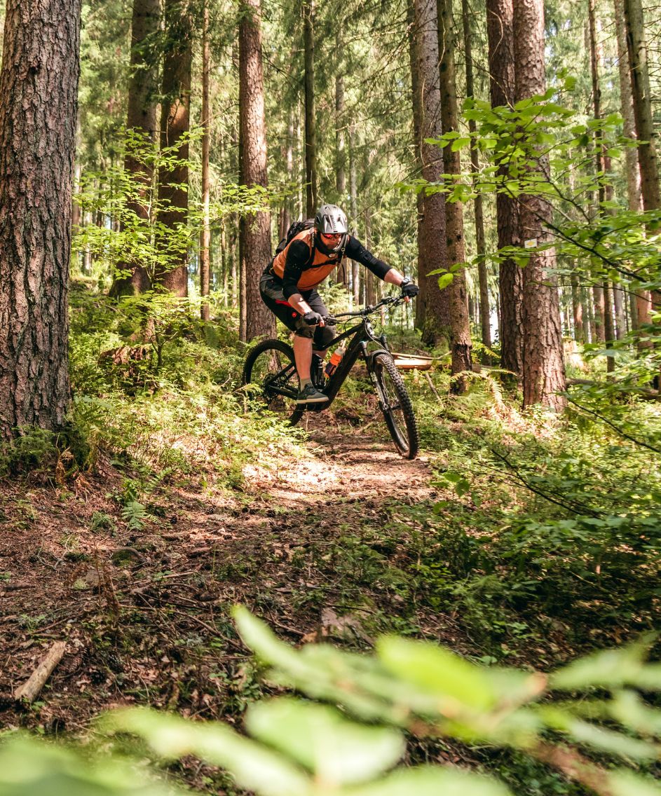 Trail- und Genusscamp Baiersbronn für Biker