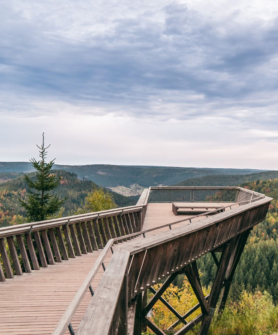 Aussichtsplattform Ellbachseeblick im Herbst