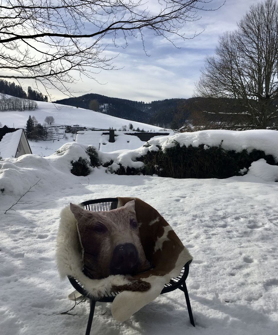 Stuhl mit Kuhfell im Schnee